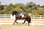 SBM_015026