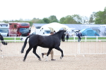 SBM_15350