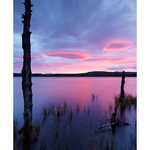 Loch Garten, Cairngorms