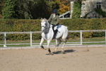 20261031-1050