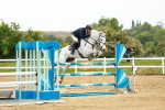 SBM_001129_Class 5 - Senior foxhunter - 120m