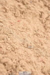 230813A-115508-12166