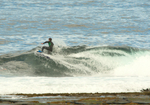 DSC_6018