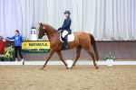 SBM_004954