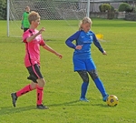 DSC02323