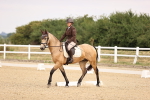 SBM_006444