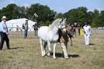 WJ6_4739