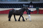 SBM_17357