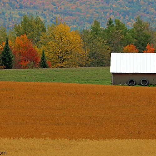 Colors of New Brunswick