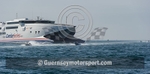 Power Boat_2012_Race-6-5
