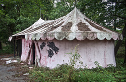 Enchaned Forest (Ellicott City, MD) | Moldy Tent