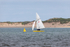 Appledore Regatta 12