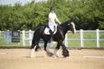 SBM_007873