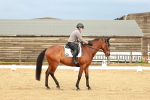 Class 6 - Novice 3 portfolio