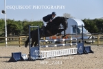 BPP_7341