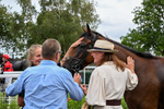 Race 5 15.55pm Hoof Hustle Handicap portfolio