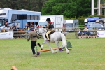 SBM_08211