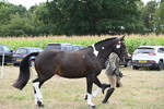 WJ6_6245