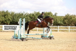 SBM_006496