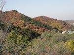 CHINA__1222