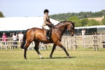SBM_18084