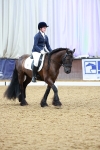 SBM_000799