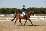 SBM_006430