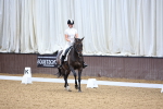 Indoor Arena - 21-7-24 portfolio