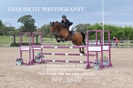 BPP_3849