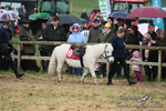 SHETPR 210425 47