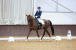 SBM_001304