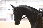 SBM_017019