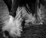 FB edits portfolio