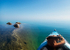 Cape Chin #2-September