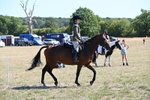 WJ6_8361