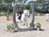 BPP_1473