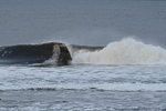 DSC_8691
