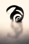 Marys Shell 01