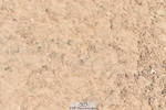 230720A-113108-02424