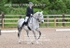 BPP_0571
