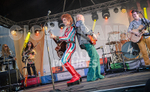 The Bowie Experience-76