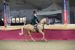 Class 105 Ridden Costume- Side Saddle portfolio