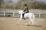 SJ3_1189