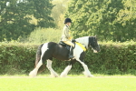 SBM_68993