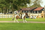 S57 - Part Bred Pony Ridden portfolio