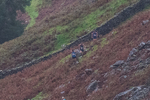Langdale-7