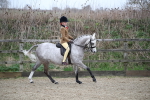 SBM_004655