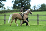 SBM_42434