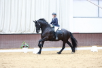 SBM_004154
