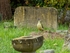 Green Woodpecker